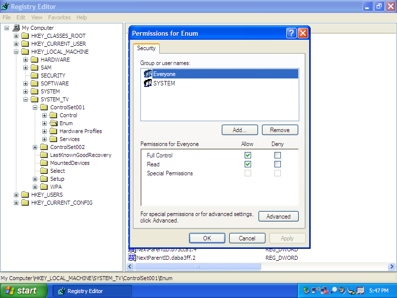 Registry Editor, permissions box for Enum